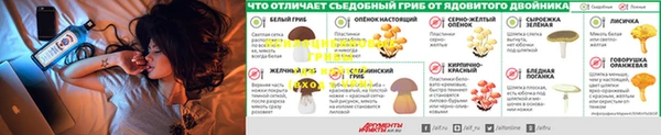 мяу мяу кристалл Нягань